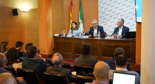 El análisis del impacto socioeconómico del Plan Málaga Litoral alcanza los 1.000 millones de euros