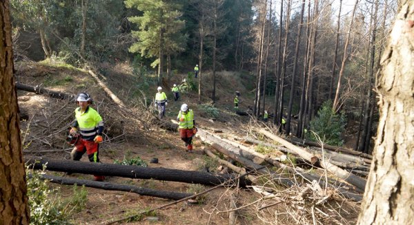 La Junta destina por primera vez más fondos a la prevención que a la extinción de incendios