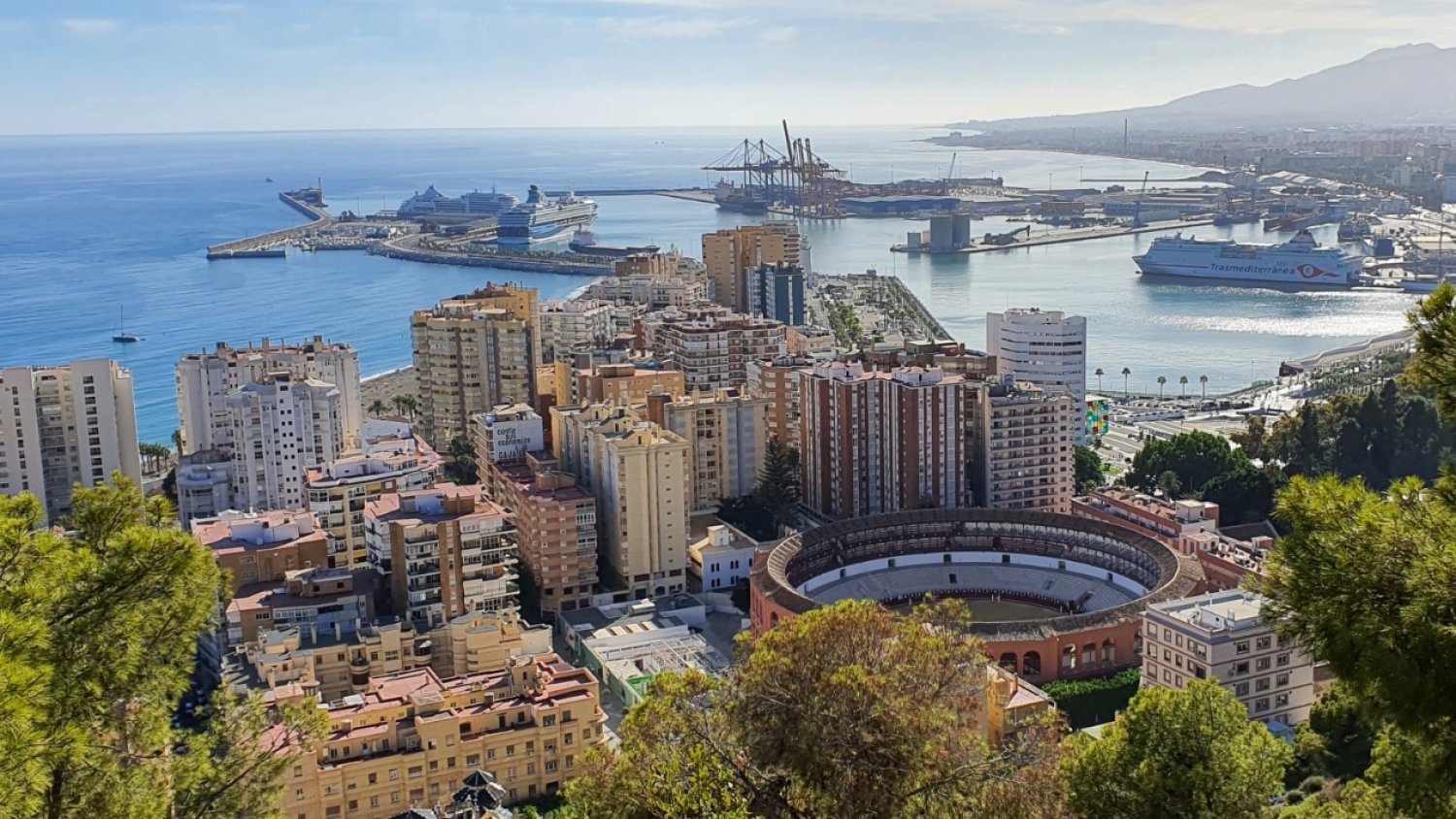 Málaga es elegida como ciudad finalista para ser la Capital Europea de la Juventud 2026