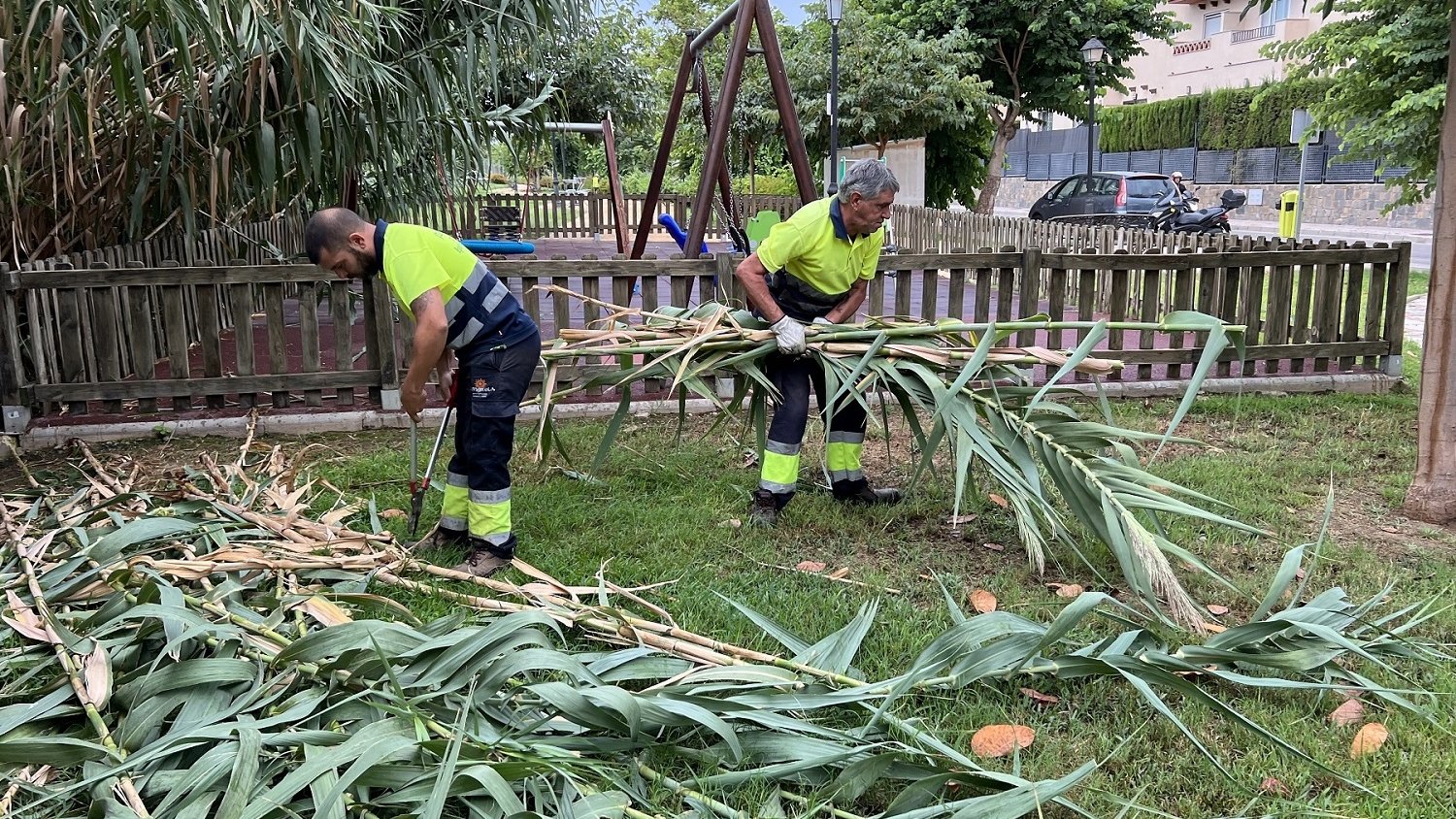 Fuengirola intensifica el Plan de Mantenimiento de Jardines ante la llegada del otoño