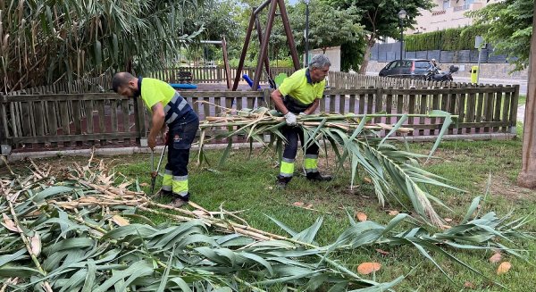 Fuengirola intensifica el Plan de Mantenimiento de Jardines ante la llegada del otoño