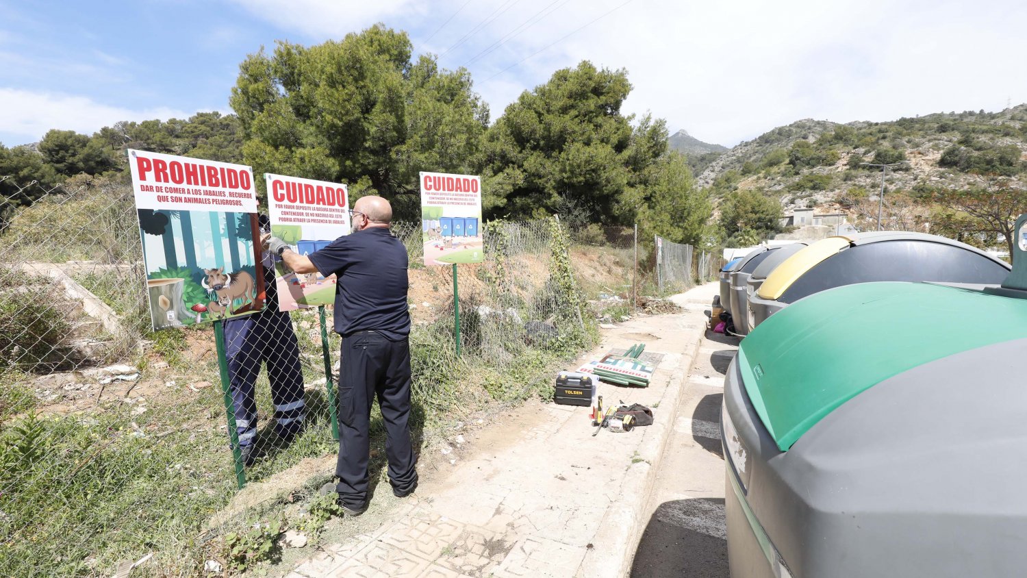 El Ayuntamiento de Marbella refuerza las medidas para controlar la población de jabalíes 