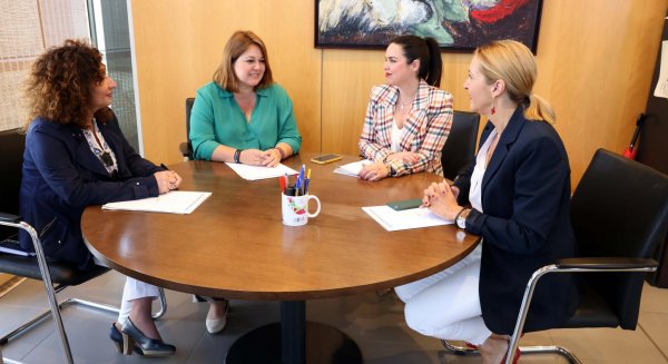La Diputación de Málaga constituye el Consejo Provincial de Familias
