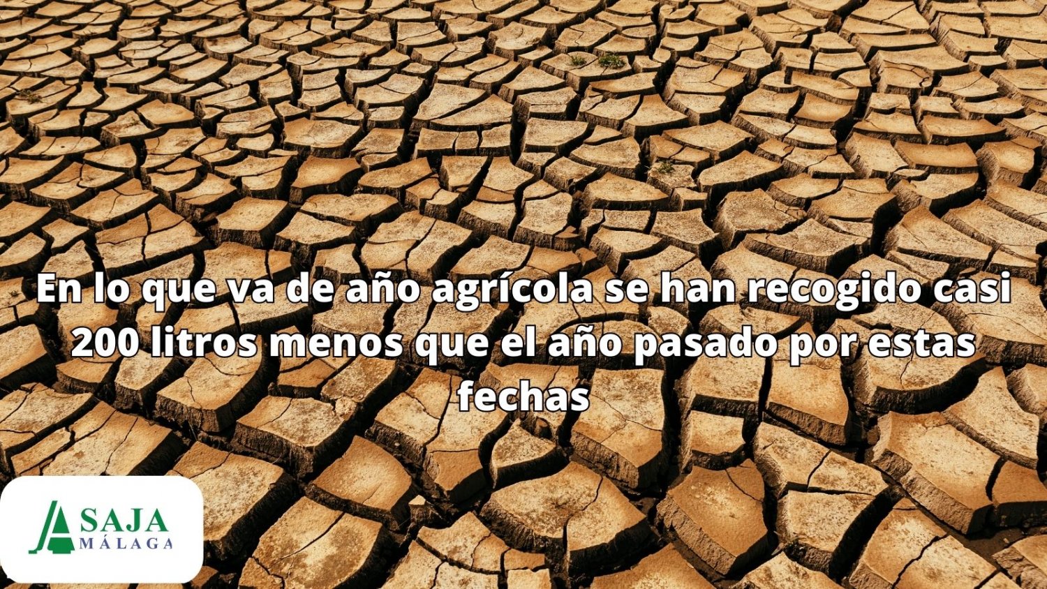 Asaja alerta: 'El campo malagueño al borde del desastre por la desesperada situación de sequía'