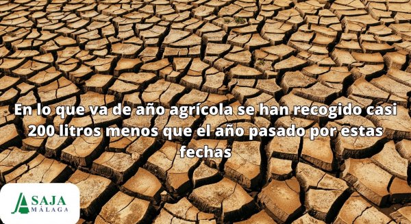 Asaja alerta: 'El campo malagueño al borde del desastre por la desesperada situación de sequía'