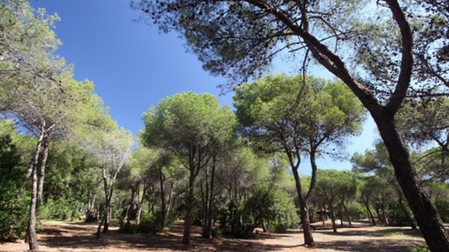 Marbella suspende el uso de las zonas de barbacoas en los parques Nagüeles y Los Tres Jardines 