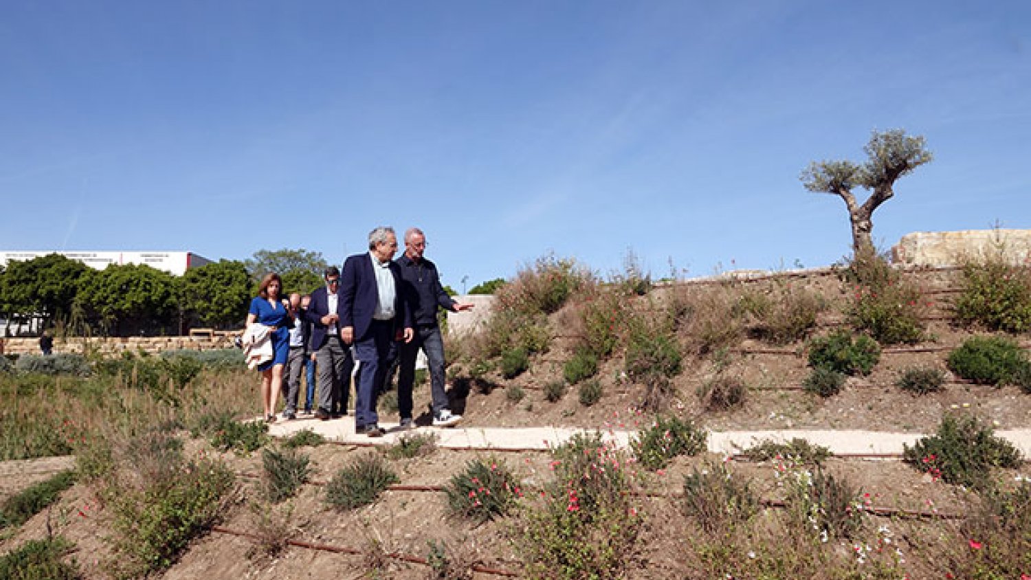 UMA.- ‘Cultiva UMA’, el nuevo espacio verde de la Universidad en el campus de Teatinos