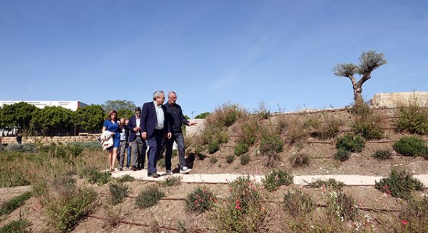 UMA.- ‘Cultiva UMA’, el nuevo espacio verde de la Universidad en el campus de Teatinos
