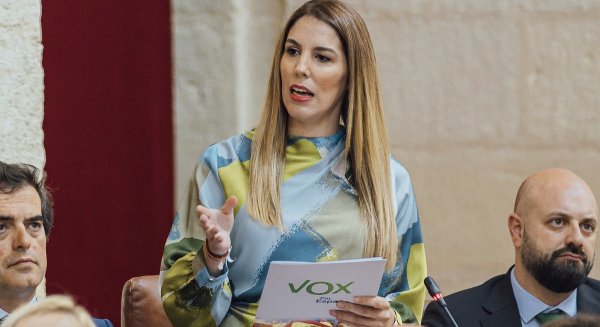 VOX afea al Gobierno de vaciar de competencias Medio Ambiente para “no desgastar” a Fernández-Pacheco