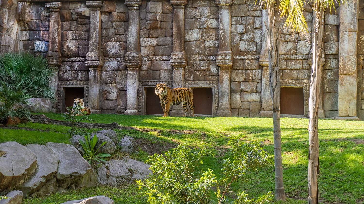 Los Bioparc llaman a invertir en el planeta: Alrededor de un millón de especies están en peligro de extinción