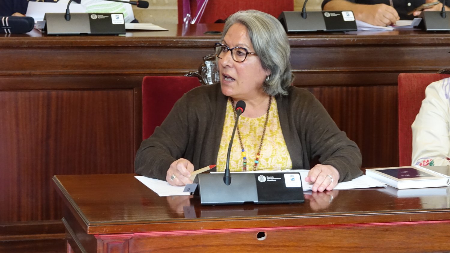 PSOE denuncia 'las mentiras del alcalde' sobre la eliminación del 'impuesto a la muerte'
