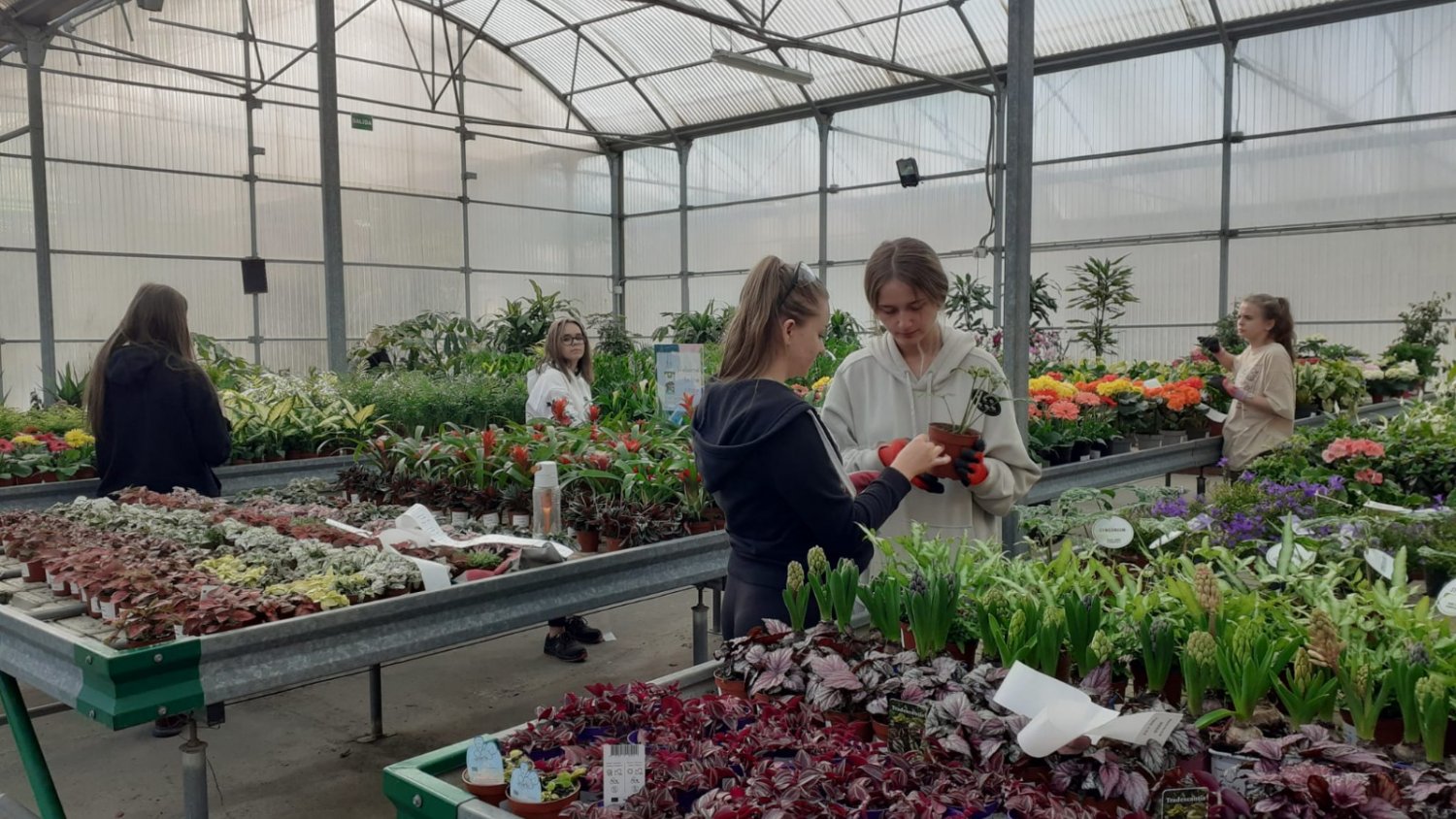 Un total de 11 alumnas polacas realizan prácticas de jardinería en el Vivero de Torremolinos
