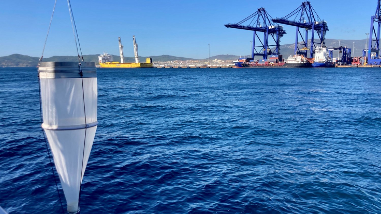 Un equipo científico del IEO analiza la presencia de especies invasoras en los puertos de Cádiz y Algeciras