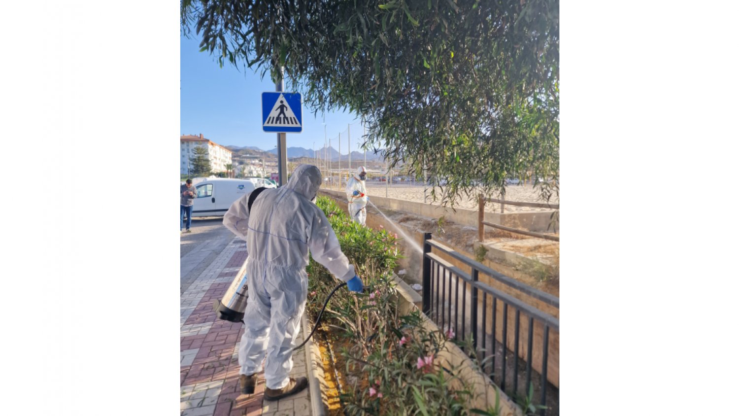 El Ayuntamiento de Torrox inicia la campaña contra los mosquitos tigre
