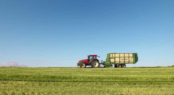 El Gobierno publica una rebaja mínima del 25% en el IRPF 2022 para agricultores y ganaderos