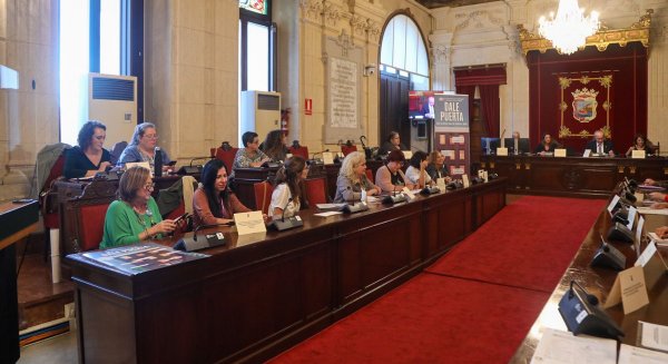 Aprobado el nuevo reglamento orgánico que regula la participación ciudadana de la ciudad