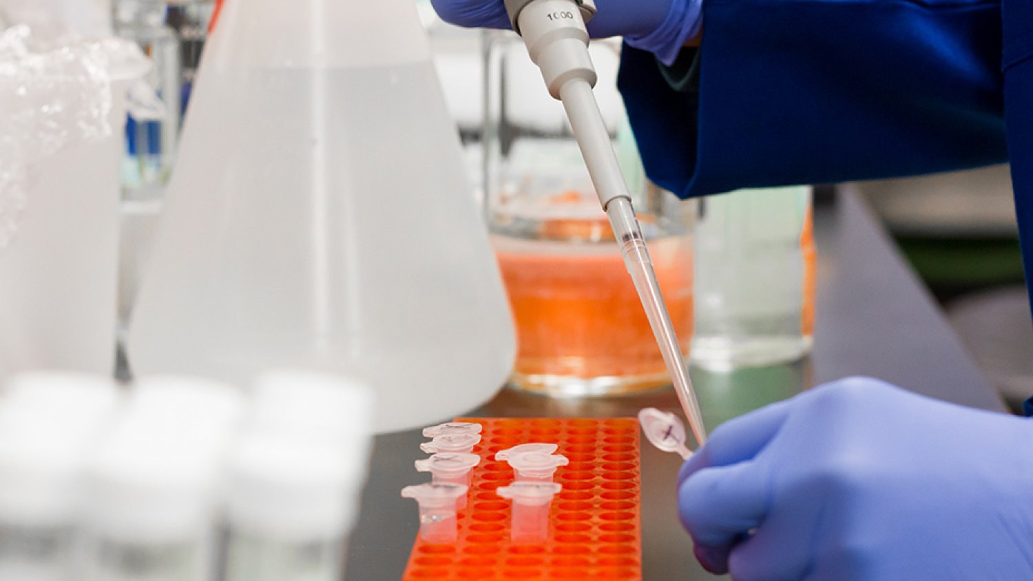 Andalucía participa en un proyecto europeo de control de sustancias químicas en productos