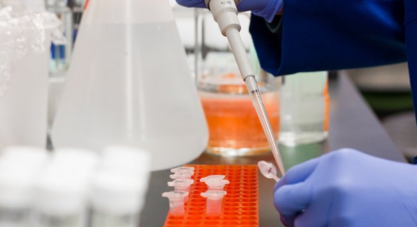 Andalucía participa en un proyecto europeo de control de sustancias químicas en productos
