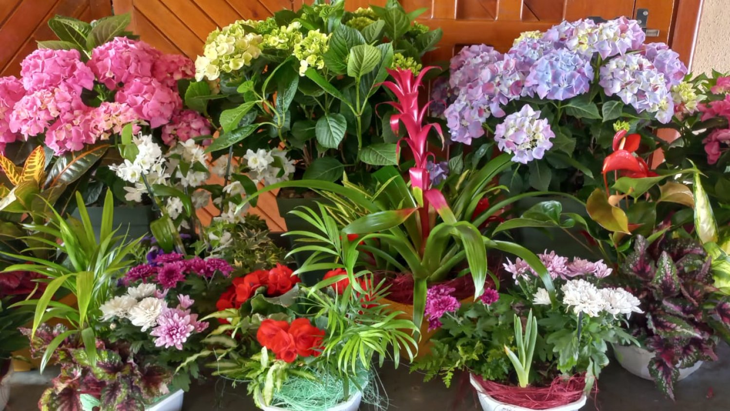 El Vivero Municipal ofrece centros de flores especiales por el ‘Día de la Madre’