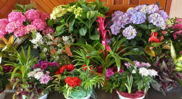 El Vivero Municipal ofrece centros de flores especiales por el ‘Día de la Madre’