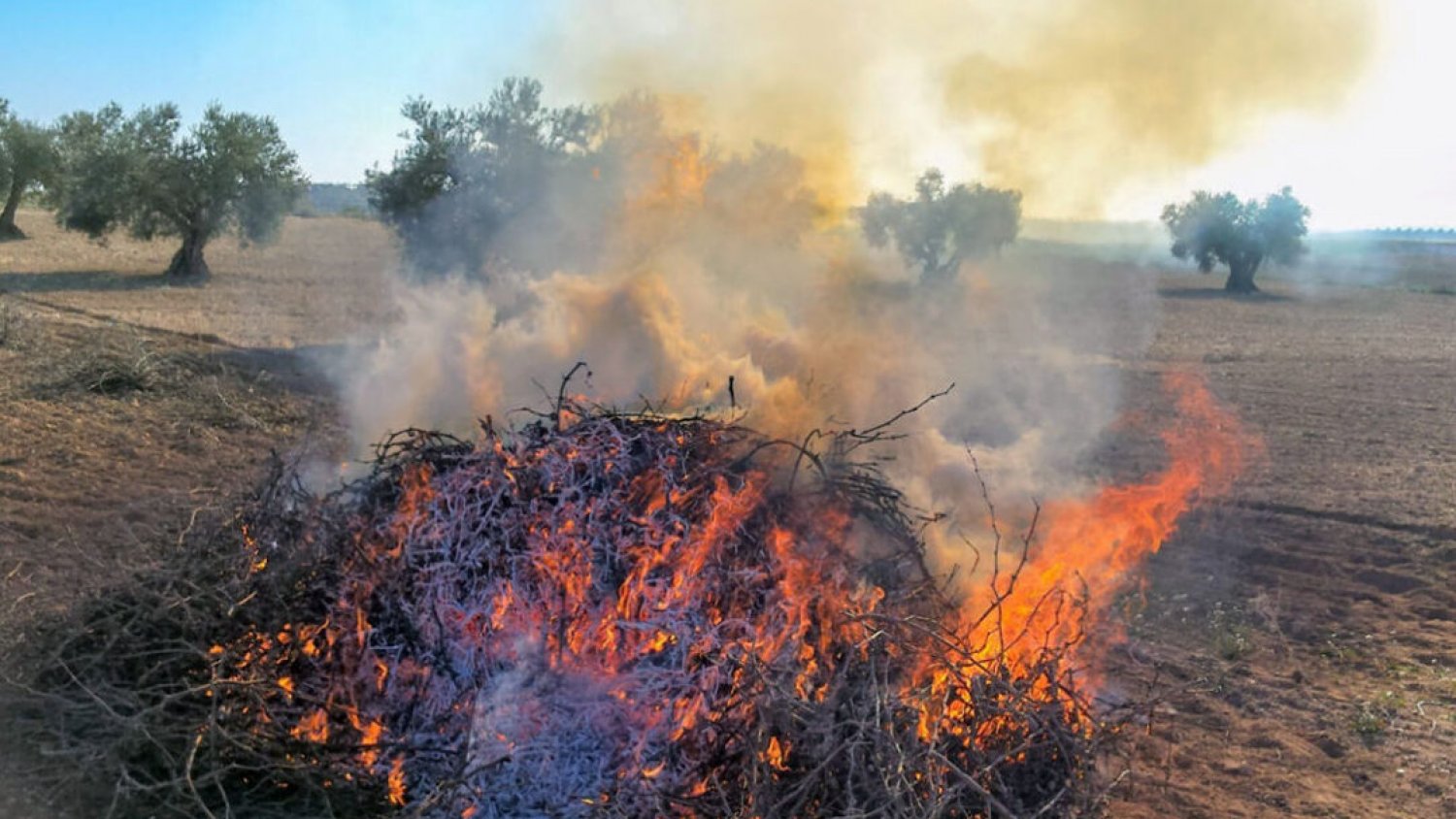 La Junta prolonga la prohibición de las quemas agrícolas para prevenir incendios forestales
