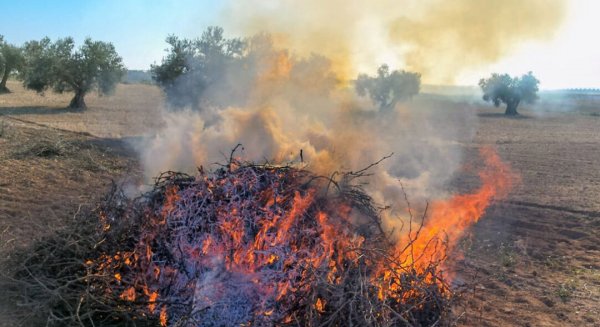 La Junta prolonga la prohibición de las quemas agrícolas para prevenir incendios forestales