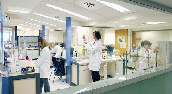 El BOJA publica una ampliación de más de 8,2 millones para el programa para contratar a jóvenes investigadores