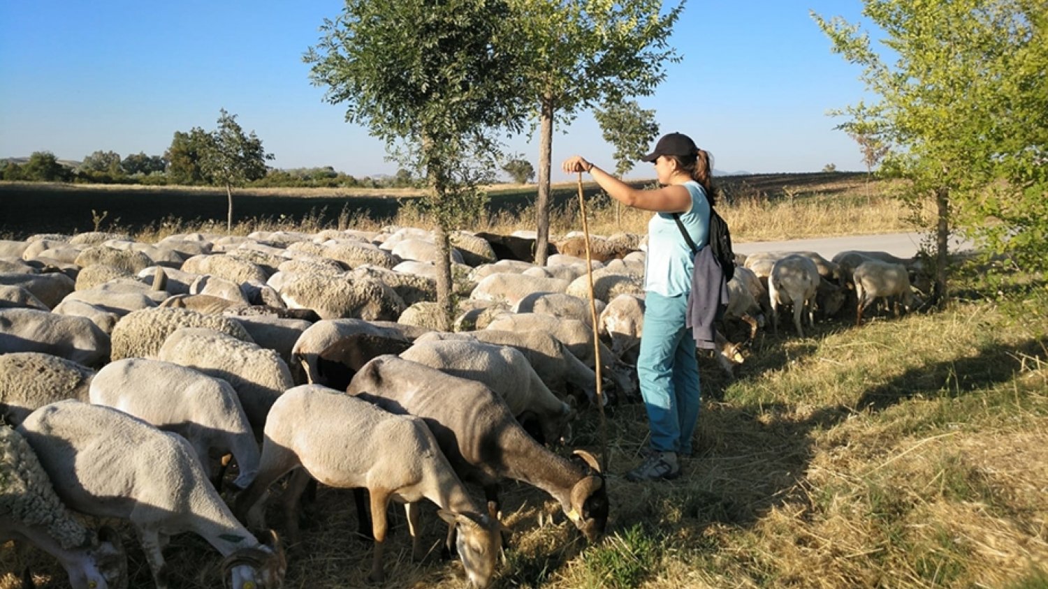 Andalucía reparte 26,7M€ en ayudas del Fondo de Reserva de Crisis de la UE por la guerra en Ucrania