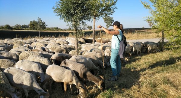 Andalucía reparte 26,7M€ en ayudas del Fondo de Reserva de Crisis de la UE por la guerra en Ucrania