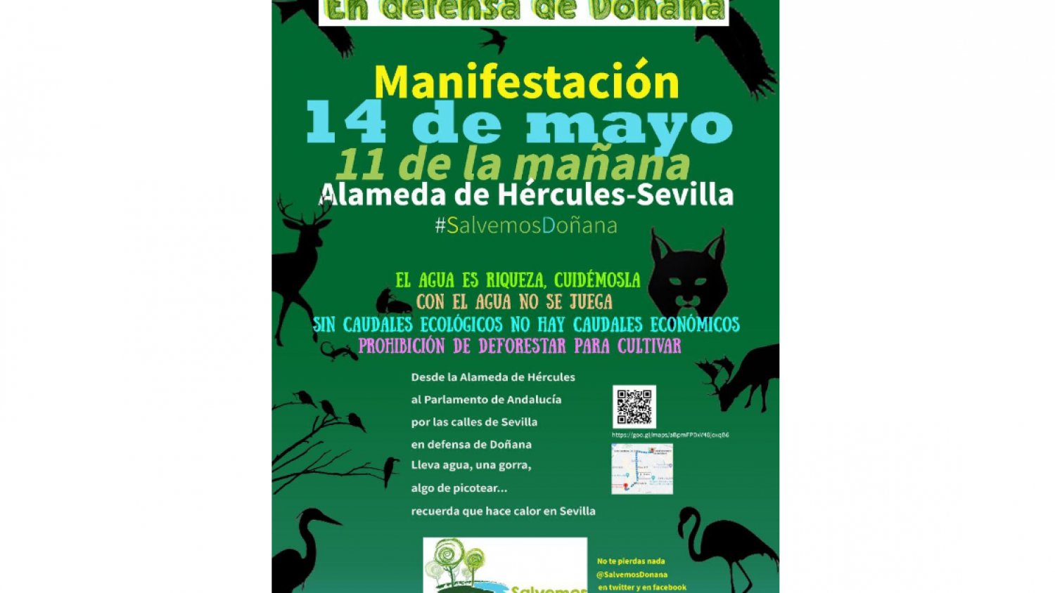 Verdes EQUO apoya la manifestación por Doñana del día 14 de junio