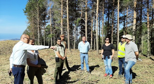 El delegado de Sostenibilidad realiza una visita técnica a las actuaciones de prevención de incendios  