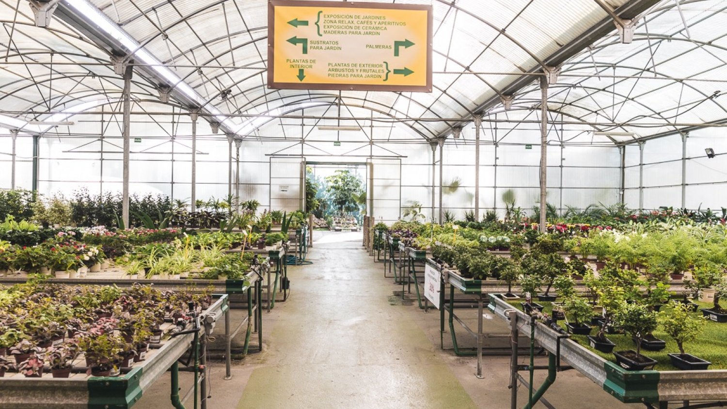 Comienza la campaña de visita de los colegios de la localidad al vivero municipal ‘Los Pinares de Torremolinos’ 