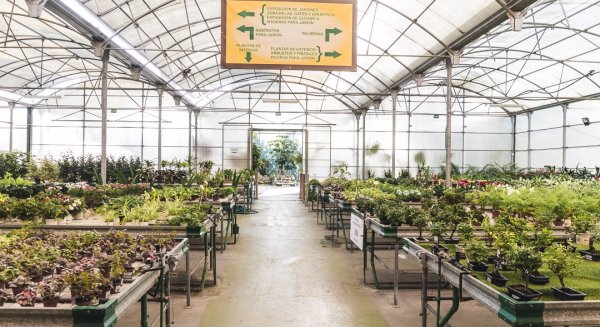 Comienza la campaña de visita de los colegios de la localidad al vivero municipal ‘Los Pinares de Torremolinos’ 