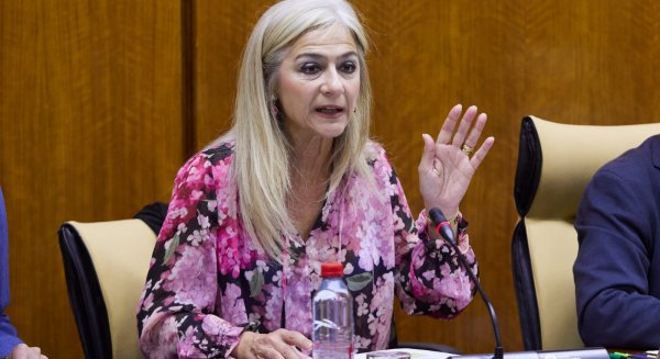 Del Pozo informa en el Parlamento de las obras de bioclimatización en centros educativos