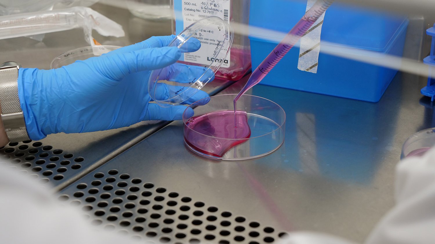 UMA.- La Universidad consolida la carrera profesional de once investigadores de excelencia