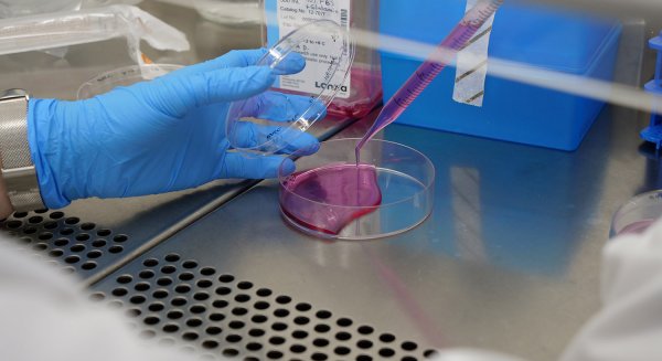 UMA.- La Universidad consolida la carrera profesional de once investigadores de excelencia