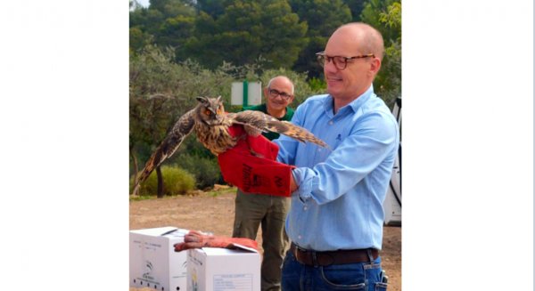 El delegado de Sostenibilidad participa en la suelta de dos búhos en los Montes de Málaga