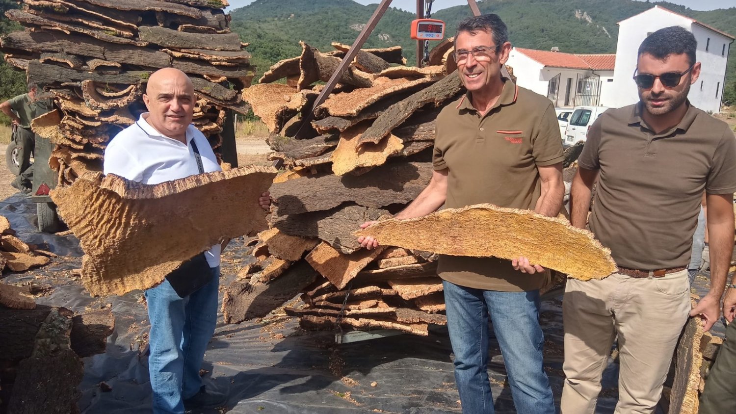 El Ayuntamiento de Ronda estima este año recoger unos 230.000 kilos de corcho de los Montes de Propios