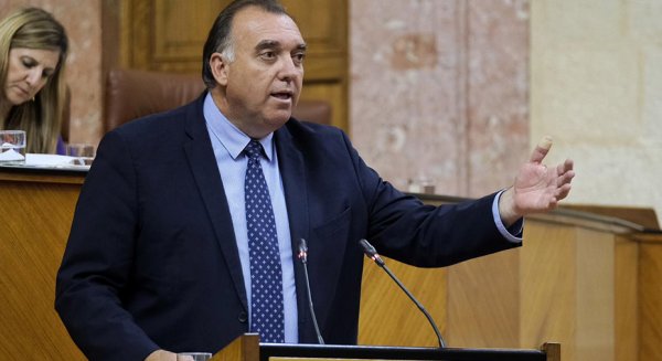 Los ayuntamientos andaluces tendrán la potestad de limitar las viviendas de uso turístico por edificio o sector