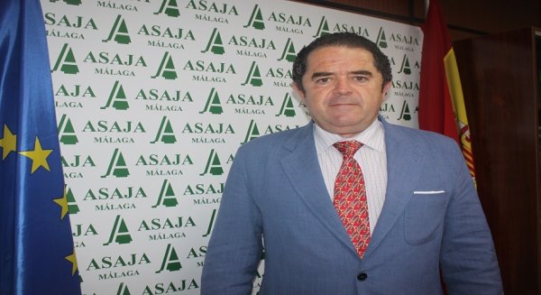 ASAJA Málaga pide que el sector del campo malagueño sea prioridad en el nuevo curso político
