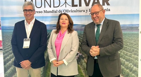 La Estrategia Andaluza apuesta por la economía circular para inyectar valor añadido al olivar