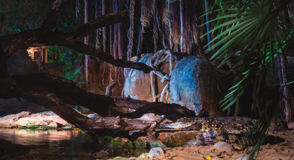 Las noches de verano vuelven a Bioparc Fuengirola durante los meses de julio y agosto