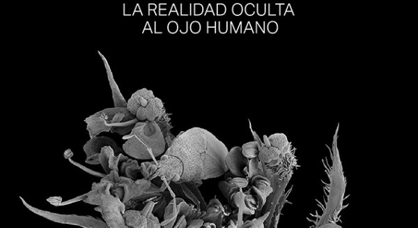 Arte y Ciencia se fusionan en la exposición ‘Nanocosmos’, en la Plaza de la Nogalera
