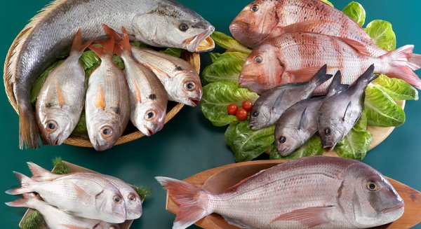 Carmen Crespo lamenta que en la rebaja del IVA no se haya incluido a la carne y el pescado