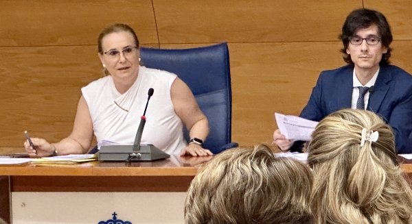 Fuengirola aprueba la constitución de sus distintos órganos de gestión y organización en un pleno extraordinario