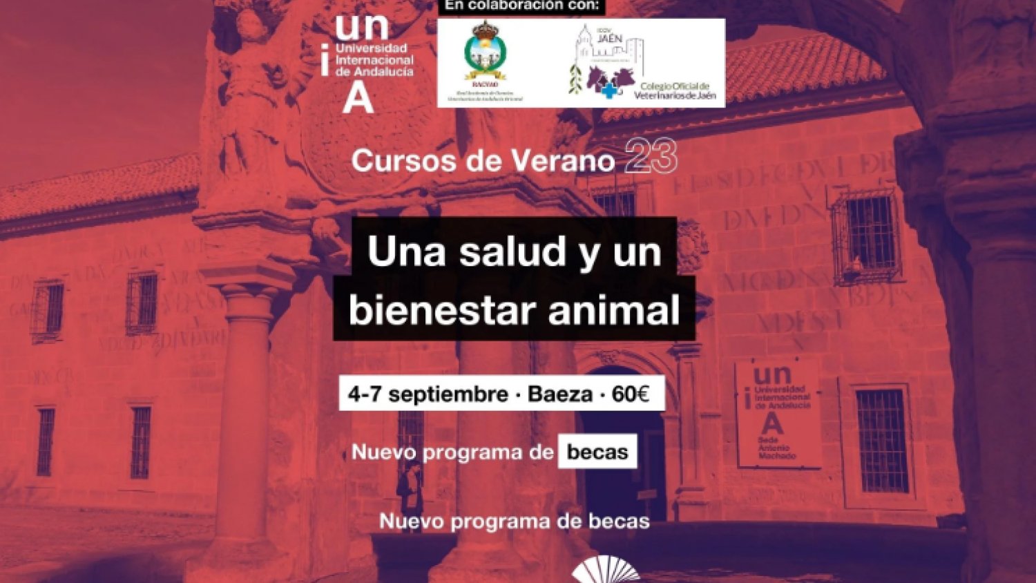 La UNIA celebra en la sede Antonio Machado de Baeza un curso sobre la Salud y el bienestar animal