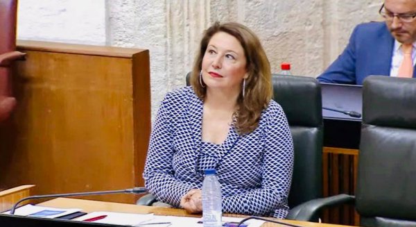 La consejera espera que 'gran parte' de los 81M€ europeos por la sequía lleguen al olivar andaluz