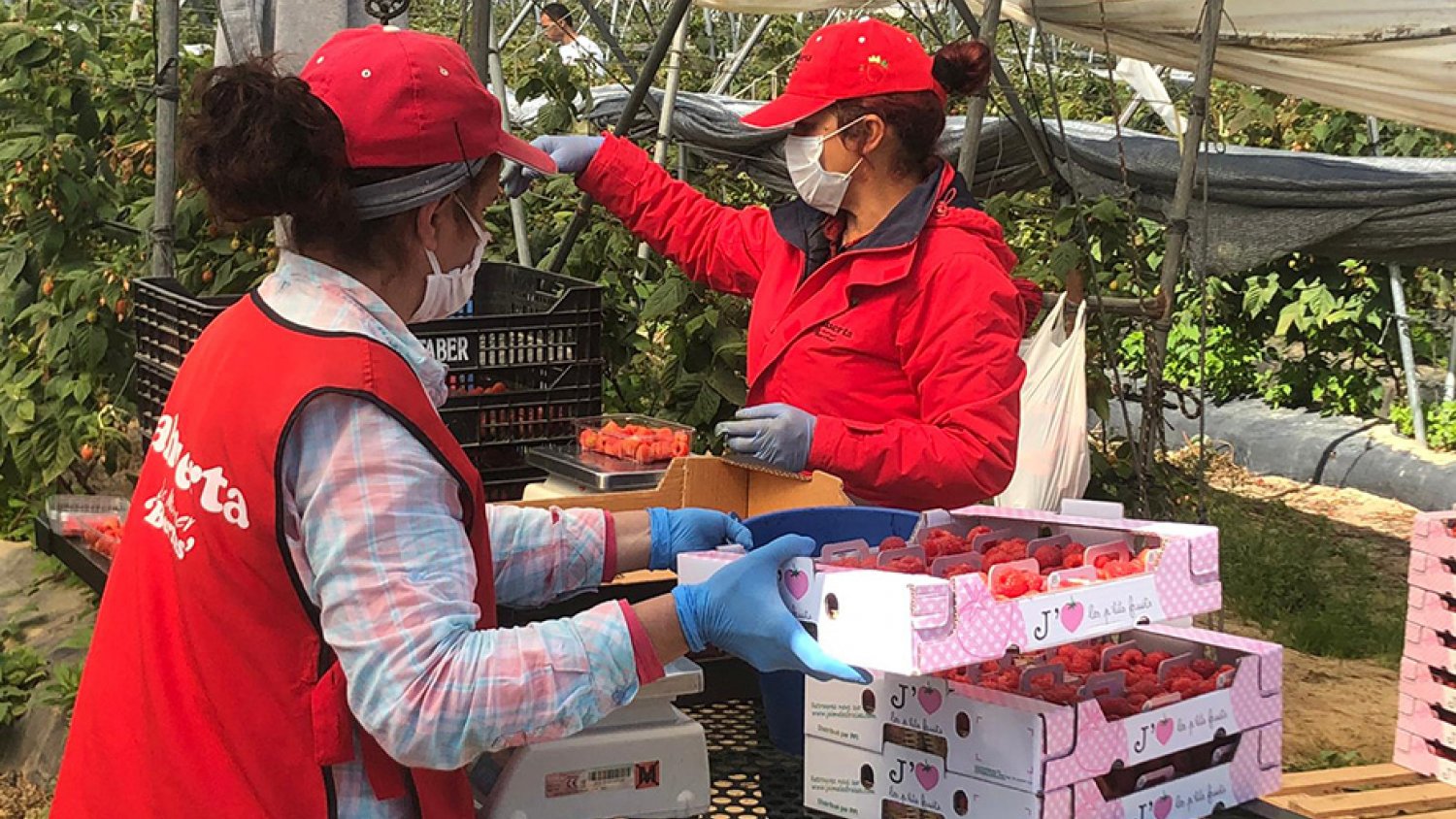 Andalucía registra un descenso del paro con 8.780 desempleados menos en junio