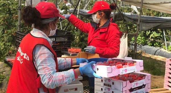 Andalucía registra un descenso del paro con 8.780 desempleados menos en junio