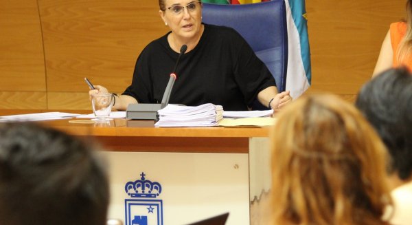 Fuengirola aprueba inicialmente el Reglamento del Procedimiento para la Declaración de situación de riesgo de Menores